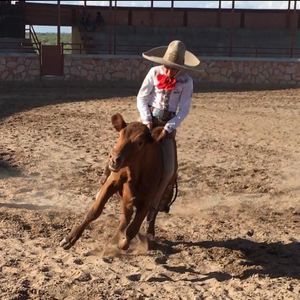 Meet your Posher, Jesus